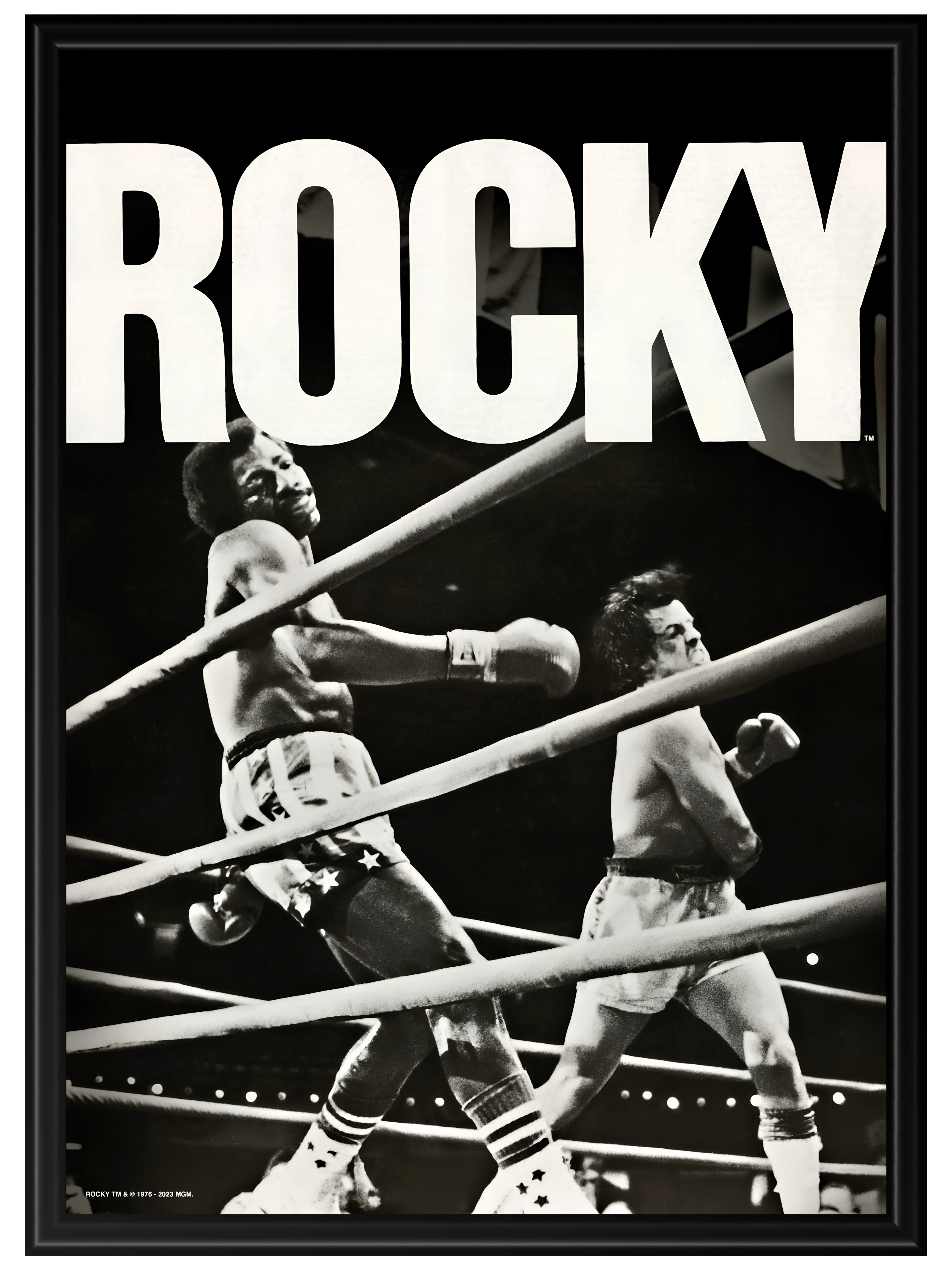 Rocky #3
